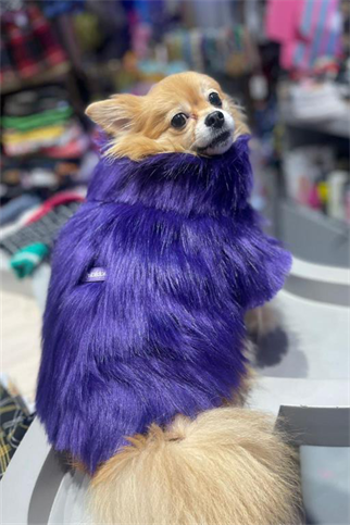 Lolidogs Suni Kürklü Köpek Montu Mor