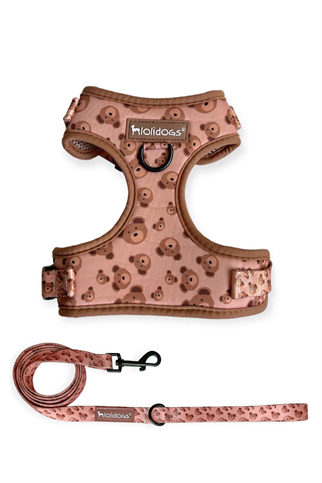 Lolidogs Teddy Harness Set