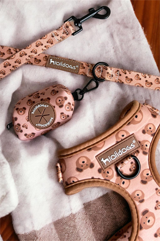 Lolidogs Teddy Harness Set