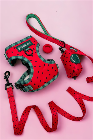 Lolidogs Watermelon Harness Set