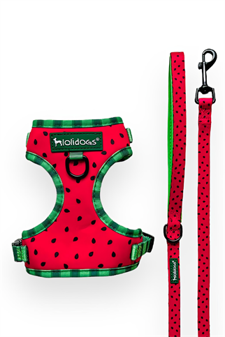 Lolidogs Watermelon Harness Set