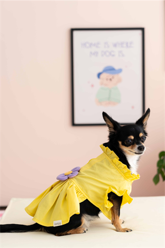 Lorico Çiçekli Sarı Elbise 