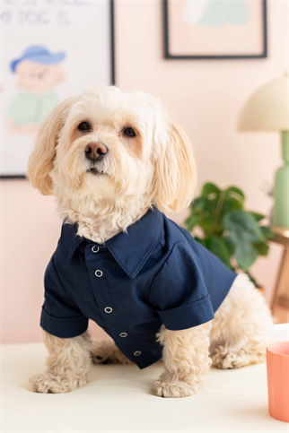 Lorico Lacivert Gömlek 