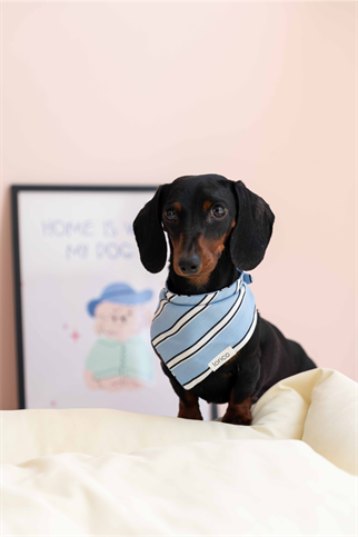 Lorico Mavi Çizgili Fular 