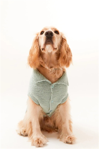 Lorico Örgü Yün Ceket Su Yeşili