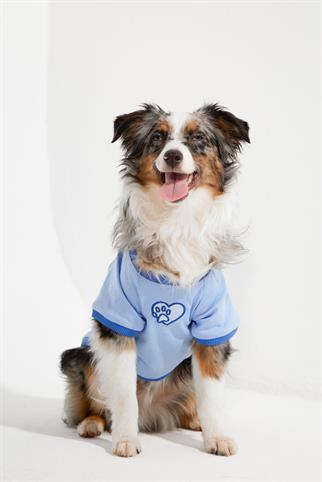 Lorico-Pet Amalfi T-Shirt - Mavi Köpek Kıyafeti