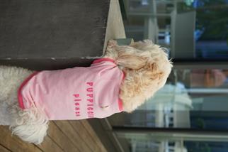 Lorico-Pet Amalfi T-Shirt - Pembe Köpek Kıyafeti