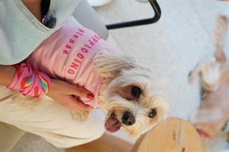 Lorico-Pet Amalfi T-Shirt - Pembe Köpek Kıyafeti