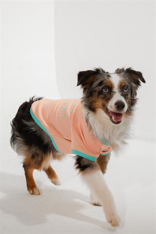 Lorico-Pet Amalfi T-Shirt - Somon Köpek Kıyafeti