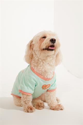 Lorico-Pet Amalfi T-Shirt - Su Yeşili Köpek Kıyafeti
