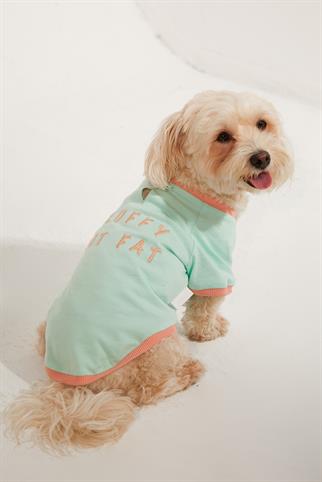 Lorico-Pet Amalfi T-Shirt - Su Yeşili Köpek Kıyafeti