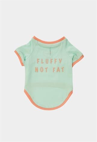 Lorico-Pet Amalfi T-Shirt - Su Yeşili Köpek Kıyafeti