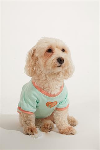 Lorico-Pet Amalfi T-Shirt - Su Yeşili Köpek Kıyafeti