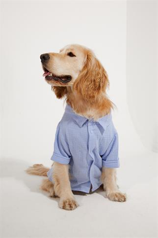 Lorico-Pet Positano Shirt - Blue Dog Clothes