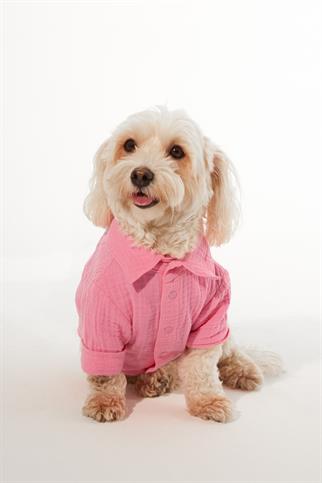 Lorico-Pet Positano Shirt - Pink Dog Clothes