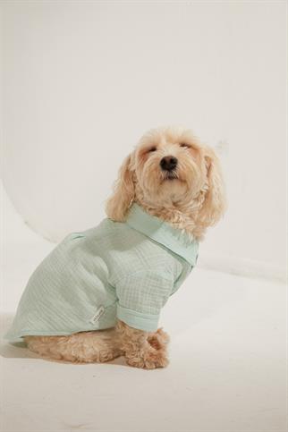 Lorico-Pet Positano Shirt - Blue Dog Clothes
