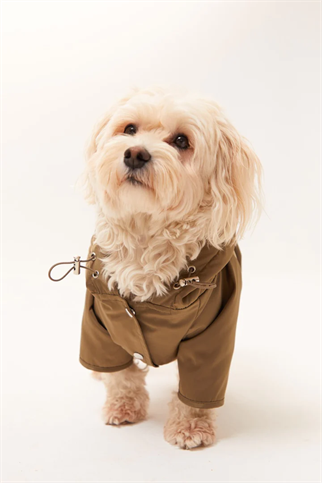 Lorico-Pet Torino Köpek Yağmurluk - Haki