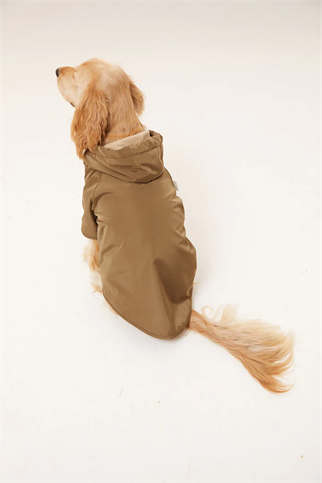 Lorico-Pet Torino Köpek Yağmurluk - Haki