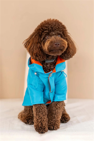 Lorico Torino Bright Yağmurluk Mavi