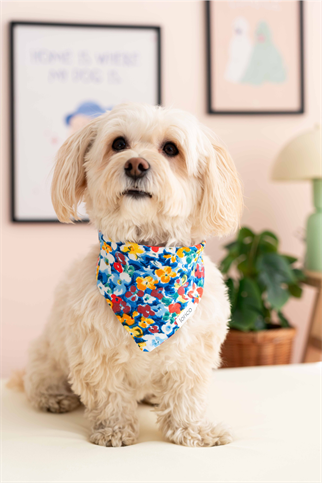 Lorico Turkuaz Çiçekli Fular 