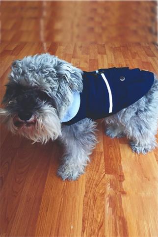 Lulu The Urban Pup  Classic Raincoat Köpek Yağmurluğu