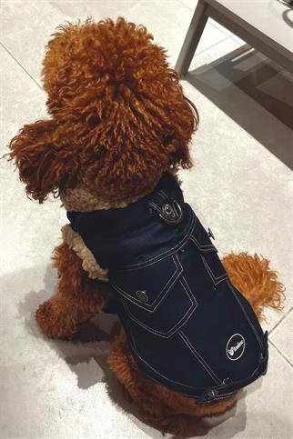 Lulu The Urban Pup Cosy Up Denim Jacket