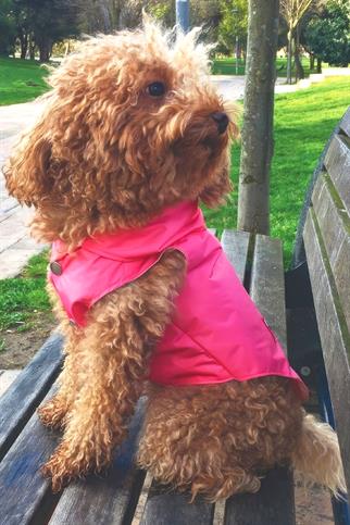 Lulu The Urban Pup Ultra Light Pink Raincoat