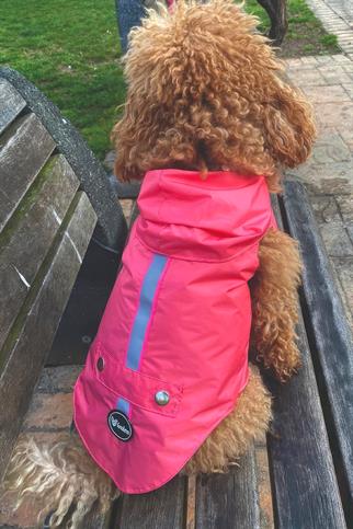 Lulu The Urban Pup Ultra Light Pink Raincoat