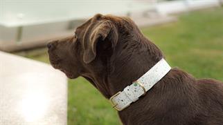 Marsandmocha White Spray Cat-Blind Passion