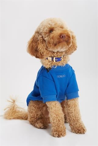 Monido Mavi Köpek Sweatshirt - 