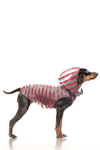 Milk and Pepper Arzel Red Striped Yağmurluk 