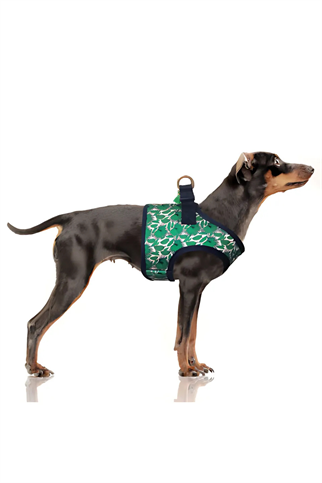 Milk and Pepper Maya Green Palm Tree Jacket Göğüs Tasması 