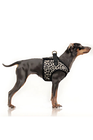 Milk and Pepper Zendaya Leopard Jacket Göğüs Tasması 