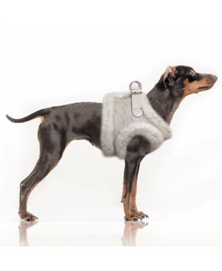 Milk&Pepper Ania Köpek Göğüs Tasması