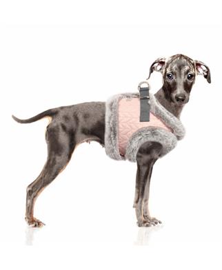 Milk&Pepper Janette Köpek Göğüs Tasması