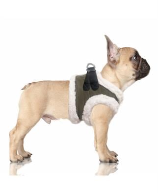 Milk&Pepper Joakim Köpek Göğüs Tasması