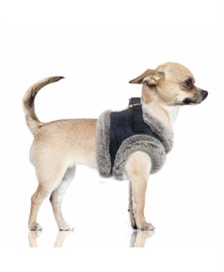 Milk&Pepper Lea Köpek Göğüs Tasması