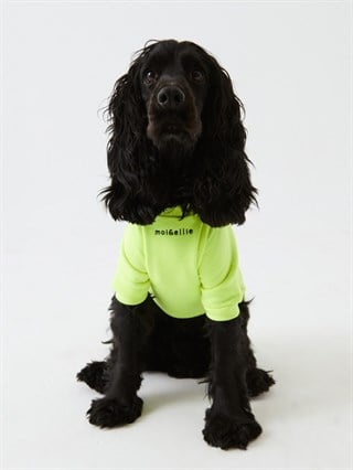 Moi And Ellie Jr Hndsh Dog Sweatshirt