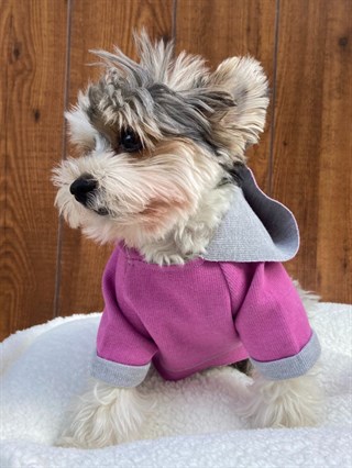 Moi and Ellie Jude Hoodie Köpek Sweatshirt