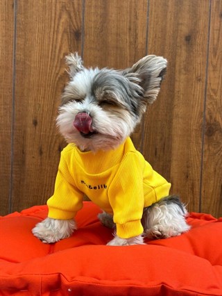 Moi And Ellie Love Mama Sweatshirt