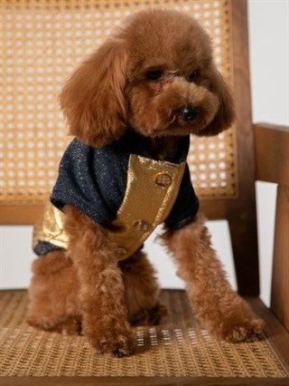 Moi and Ellie Lucy Bomber Jacket Köpek Ceket