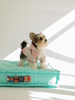 Moi and Ellie Marley Hoodie Köpek Sweatshirt