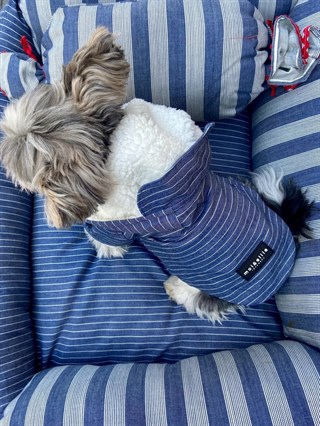 Moi and Ellie Max Denim Raincoat Köpek Yağmurluk