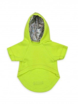 Moi And Ellie Max Neon Yellow Raincoat Dog