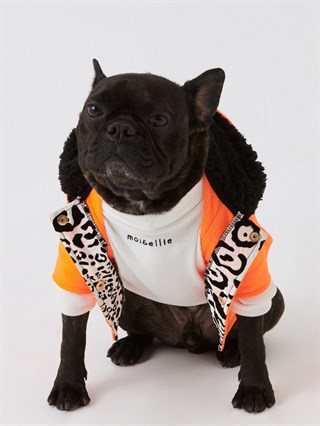 Moi And Ellie Max Orange Raincoat Dog