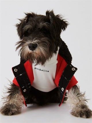 Moi And Ellie Max Red Raincoat Dog