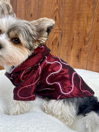 Moi And Ellie Maya Raincoat Dog