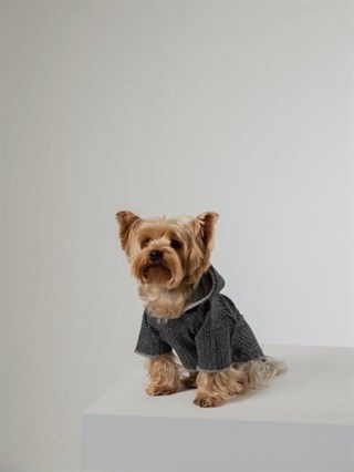 Moi and Ellie Murphy Hoodie Köpek Sweatshirt