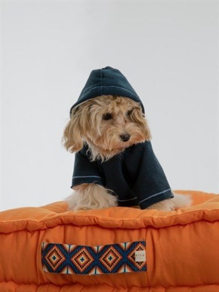 Moi and Ellie Ollie Hoodie Köpek Sweatshirt