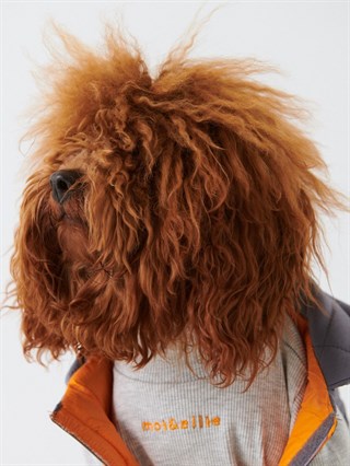 Moi And Ellie Ozzy Sweatshirt